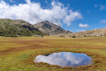 Blick über die Hochmoor Landschaft um den den Lac de Nino mit der Capu a Tozzu im Hintergrund, Korsika, Frankreich - obrazy, fototapety, plakaty