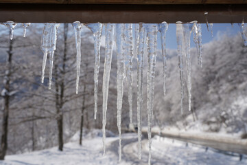 Icicles hanging under the eaves in midwinter