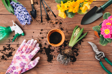Gardening tools and flowers background. Copy space. Top view and flat lay.