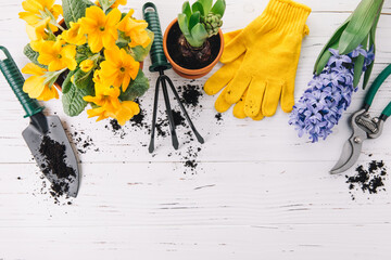 Gardening tools, colorful flowers in pots on white wooden table. Spring in the garden concept...