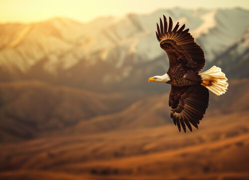 AI Generated Image. American eagle flying over the steppe