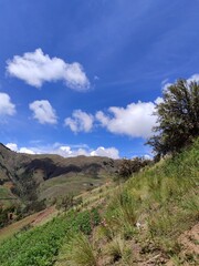 landscape with blue sky