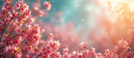 Fototapeten Spring blossom background. Blank background for advertising or text.  AI Generative © k_e_n