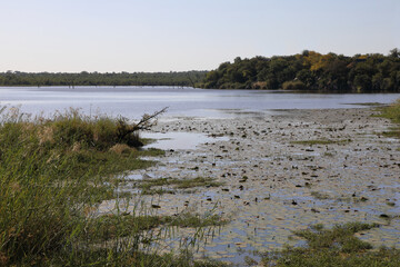Afrikanischer Busch - Krügerpark - Pioneer Dam / African Bush - Kruger Park - Pioneer Dam /