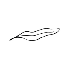 Single Leaf Line Art Illustration Isolated in White. Floral decoration branch leaf plant line. Modern single line art, aesthetic contour. Perfect for home decor such as posters, wall art, tote bag etc