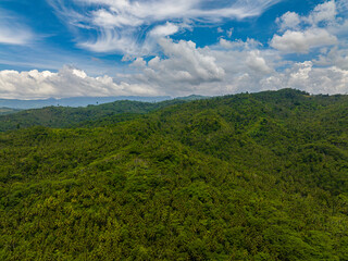 Natural beauty of nautre on tropical mountain with lush foliage. Mindanao, Philippines.