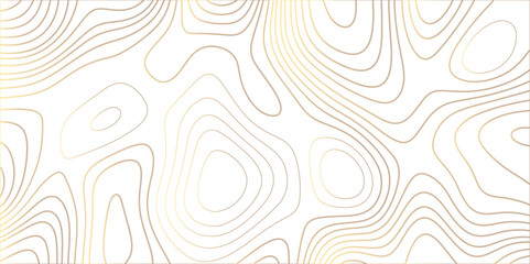 abstract golden wave paper curved reliefs background. Topography map pattern, Geographic curved, vector illustration. seamless textrue, vintage waves. Panorama view multicolor wave curve line.	 - obrazy, fototapety, plakaty