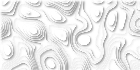 white paper and relief wave and cruve line paper cut background. soft white color seamless pattern, vector illustration, multi layer cutout banner design. topo counter map in 3d view.