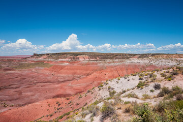 painted desert