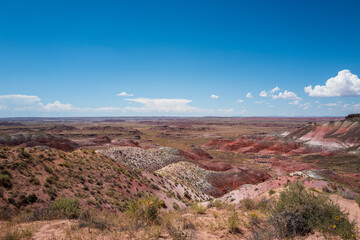 painted desert