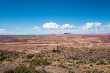 painted desert