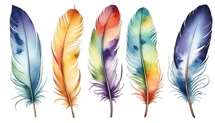 Watercolor Feathers: A Beautiful Isolation on White Background
