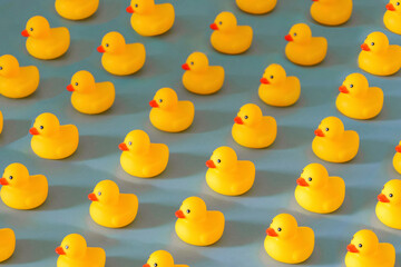 Many yellow rubber ducks in rows on blue background, fun community, family, get one’s ducks in a row, organisation concept