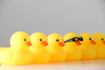 Six yellow rubber ducks in a row line. One duck stands out in focus wearing nerdy glasses. Stand out, be smart, get one’s ducks in a row concept.