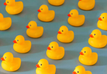 A community of yellow rubber ducks in rows on blue background wallpaper, get one’s ducks in a row, organisation concept