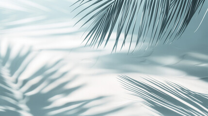 Fototapeta premium Palm Leaf Shadow over Paradise White Sand Beach. Minimal, Boho, Ambient. Ocean Coast, Tropical Sea Shore, Pure Nature. Luxury, Wellness, Body & Mind. Perfect Vacation, Relaxing Spa, Premium Cosmetics