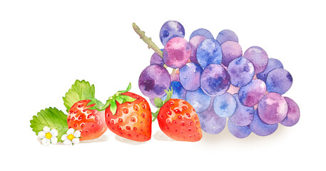 水彩で描いたカラフルなフルーツのイラスト,ブドウ,イチゴ,ジューシーでおいしそうな