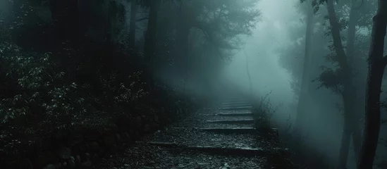 Fotobehang Bosweg Dark pathway