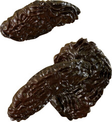 raisin a dried fruit