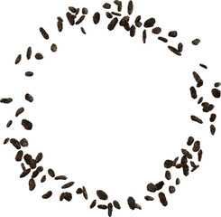 raisin a dried fruit