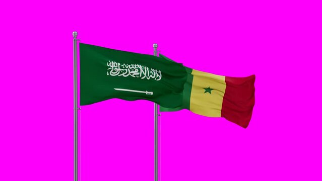 Republic of Senegal and Saudi Arabia flag waving with colored chroma key for easy background remove, endless seamless loop, two country cooperation concept