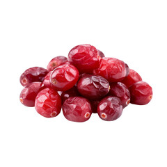 Dried red berries on a translucent background