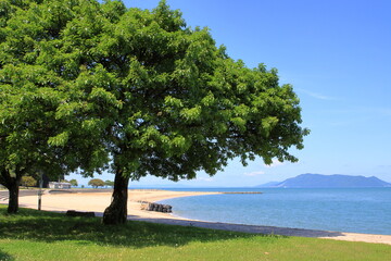 青空と海水浴場