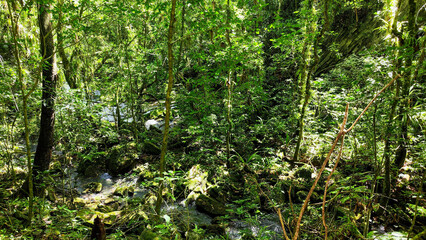 View at El Nicho waterfalls national park in Cuba