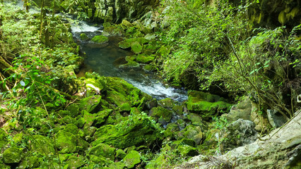 View at El Nicho waterfalls national park in Cuba