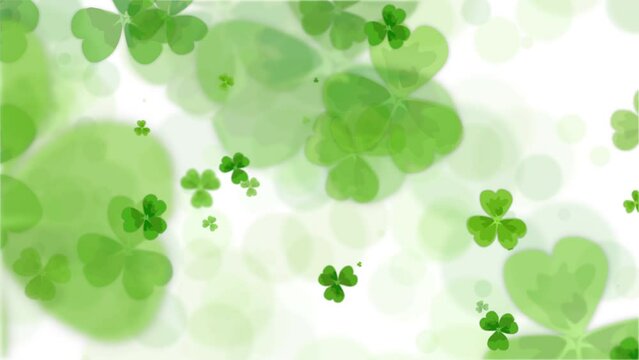 Soft traditional Irish ornament of green clover leaves on a white background. Looped animation. Copy space.