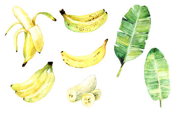 Bananas watercolor clipart, peeled bananas, bananas bunch, banana leaves, tropical summer fruit, 500 dpi png with transparent background, isolated images