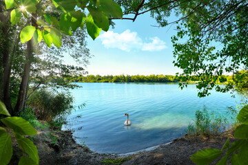 View of a scenic lake with a swan gracefully swimming on the blue water, nicely framed by lush...