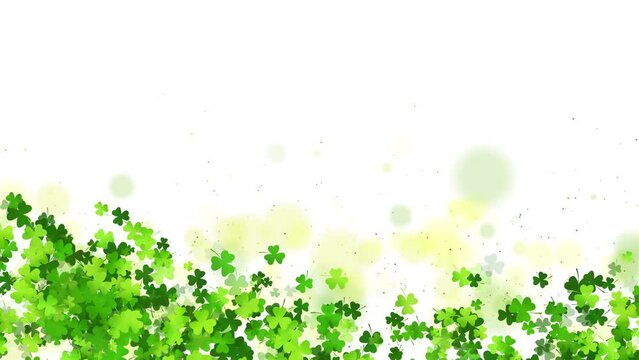Shamrock or clover leaves flat design green backdrop pattern loop animation white background. St Patricks Day shamrock symbols decorative elements. Copy space.