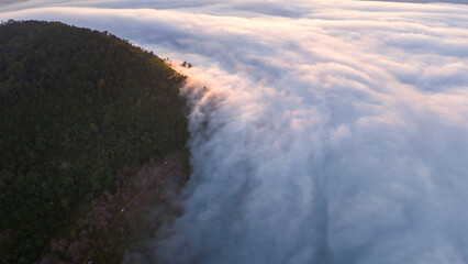 Aerial Drone Shot of mist in Valley with sunset and view of coastal town and trees and buildings early morning