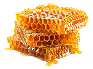 honeycomb and honey