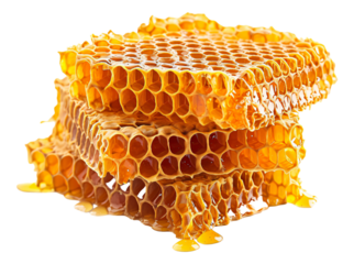 honeycomb and honey