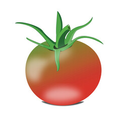 tomato isolated on white background