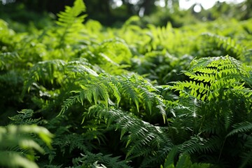 a close up of a plant