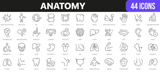 Anatomy line icons collection. UI icon set in a flat design. Excellent signed icon collection. Thin outline icons pack. Vector illustration EPS10