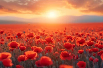 Schilderijen op glas poppy field sunset © Muhammad