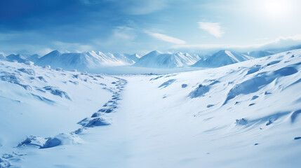 Fototapeta na wymiar a beautiful long path in a winter landscape, sunny