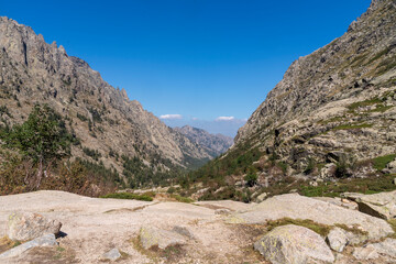 Fototapeta na wymiar Blick ins Restonica Tal, Korsika, Frankreich