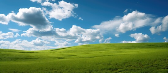 Green grass fields on small hills and transparent blue sky with thick clouds