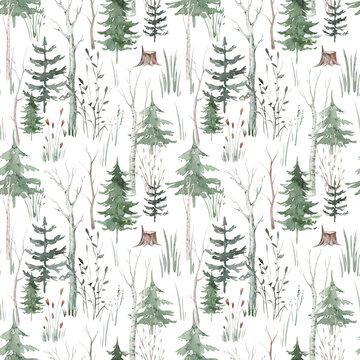 Seamless pattern with watercolor pine trees and spruces, hand drawn on white background