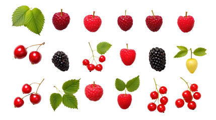 Berries collection isolated on transparent and white background.PNG image