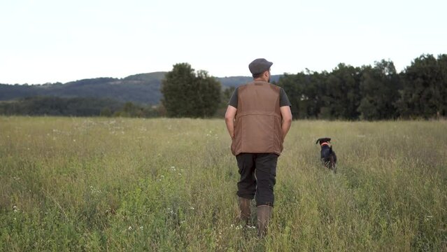 Hunting man walks with a hunting dog on a grassy meadow field