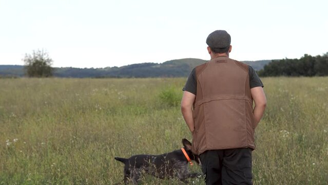 Hunting man walks with a hunting dog on a grassy meadow field