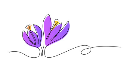 Spring flowers crocus drawn by one line. Vector illustration on a white background.