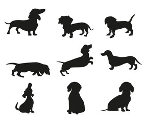 set of Dachshund silhouettes,  wiener dog small breed in different poses vector icons