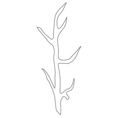 Branch Line Art Illustration 